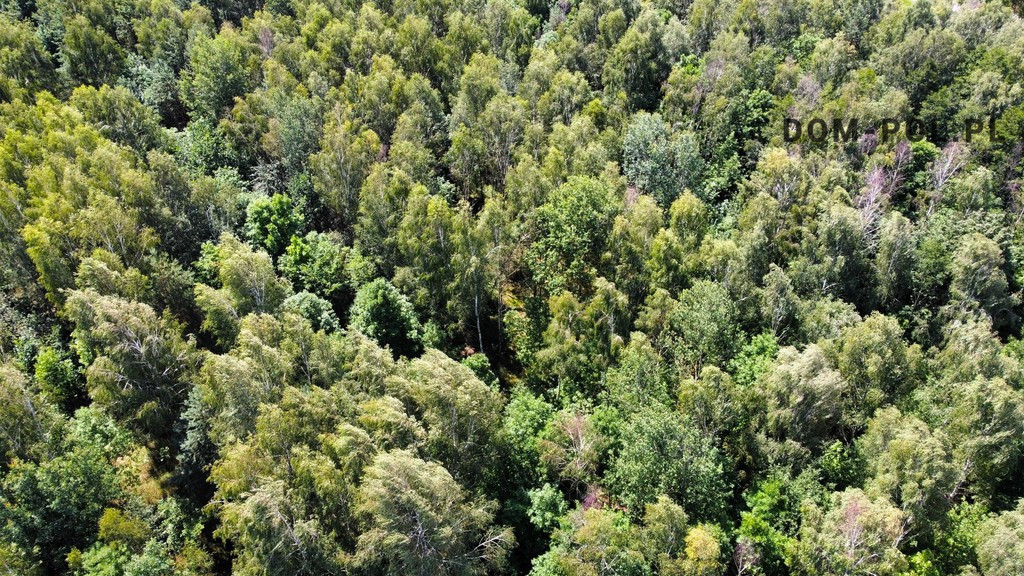 Działka Sprzedaż Siemień-Kolonia