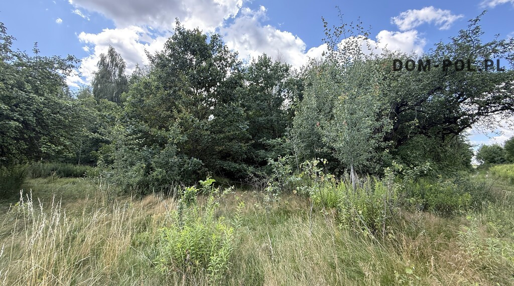 Działka Sprzedaż Siemień-Kolonia
