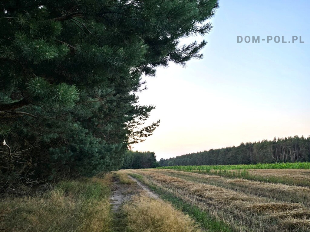 Dom Sprzedaż Stanisławów Duży 13