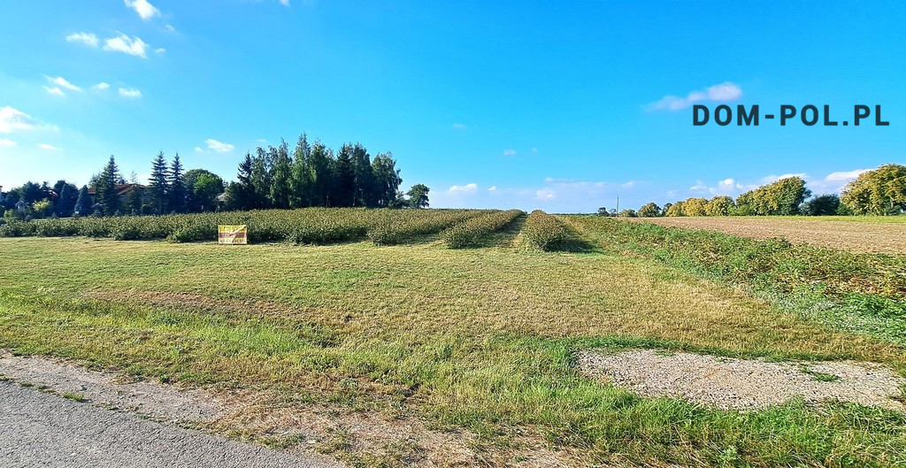 Działka Sprzedaż Tarło-Kolonia