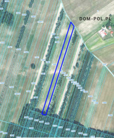 Działka Sprzedaż Sosnówka