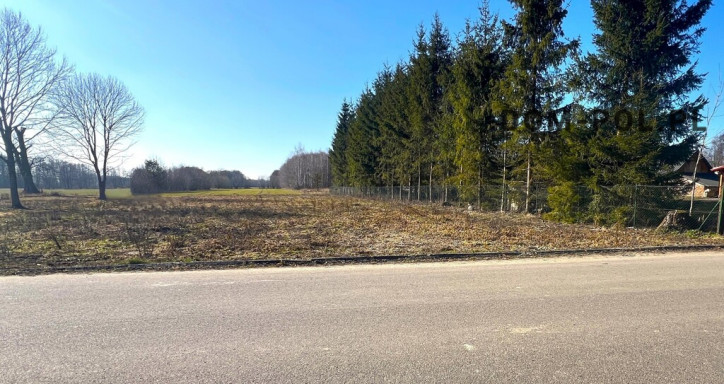Działka Sprzedaż Pachole 4