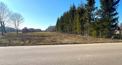 Działka Sprzedaż Pachole