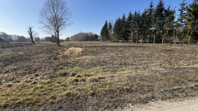 Działka Sprzedaż Pachole