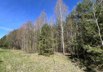 Działka Sprzedaż Tyśmienica