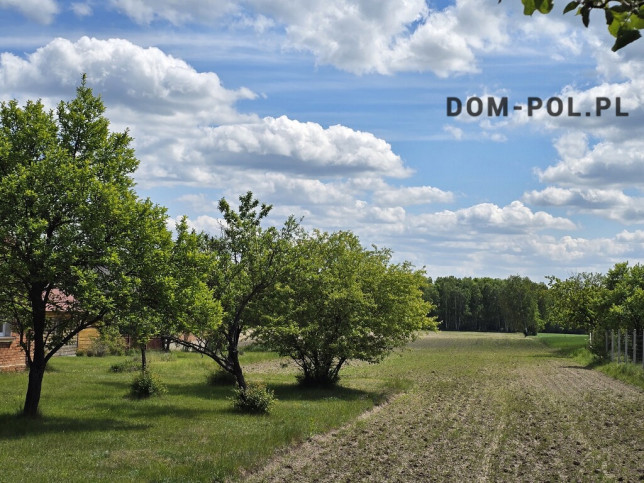 Dom Sprzedaż Juliopol 12