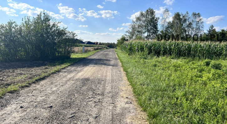 Działka Sprzedaż Parczew 5