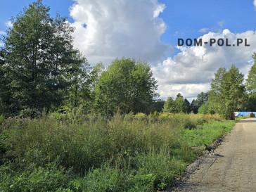 Dom Sprzedaż Żurawiniec