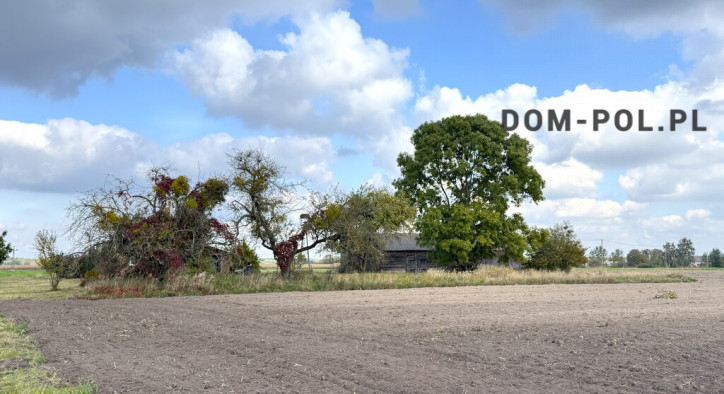 Dom Sprzedaż Sosnówka 16