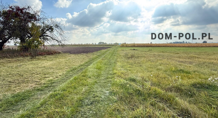 Dom Sprzedaż Sosnówka 18
