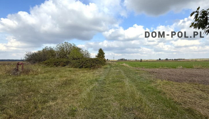 Dom Sprzedaż Sosnówka 19