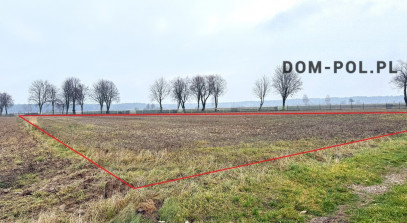 Działka Sprzedaż Stępków