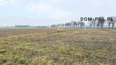 Działka Sprzedaż Stępków