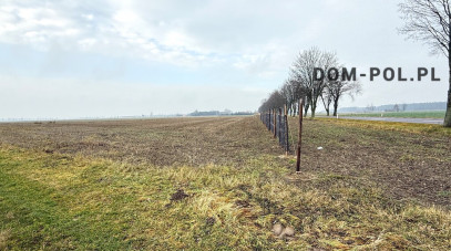 Działka Sprzedaż Stępków