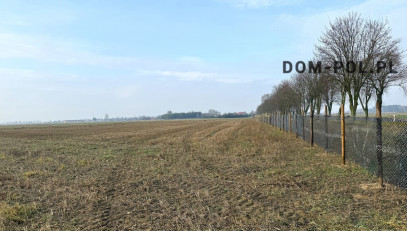 Działka Sprzedaż Stępków