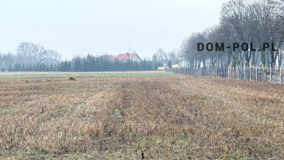 Działka Sprzedaż Stępków