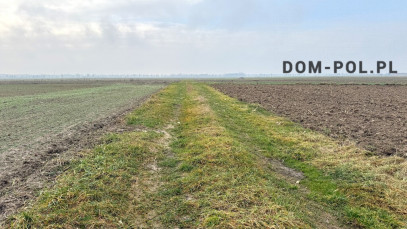 Działka Sprzedaż Stępków