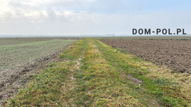 Działka Sprzedaż Stępków 8