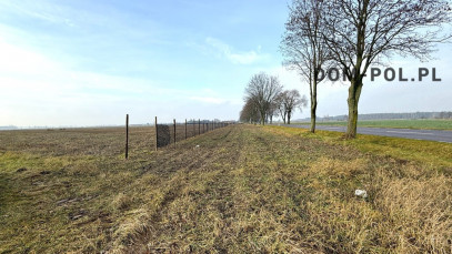 Działka Sprzedaż Stępków