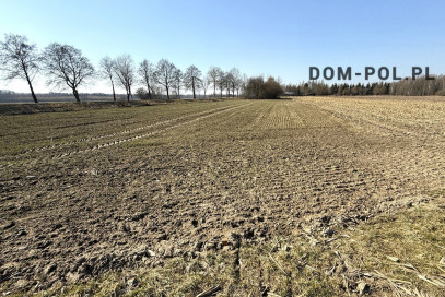 Działka Sprzedaż Dębowa Kłoda
