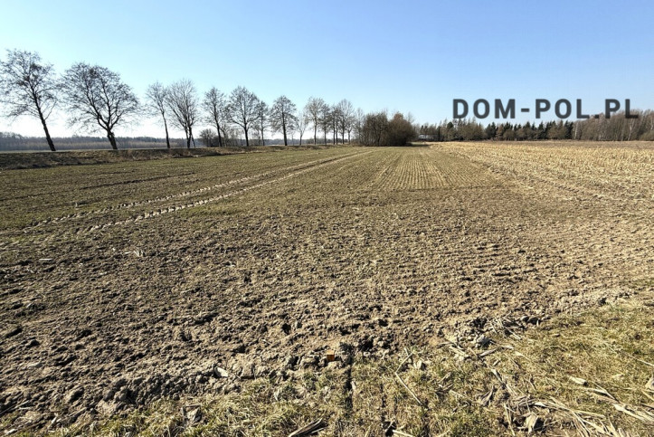 Działka Sprzedaż Dębowa Kłoda 12