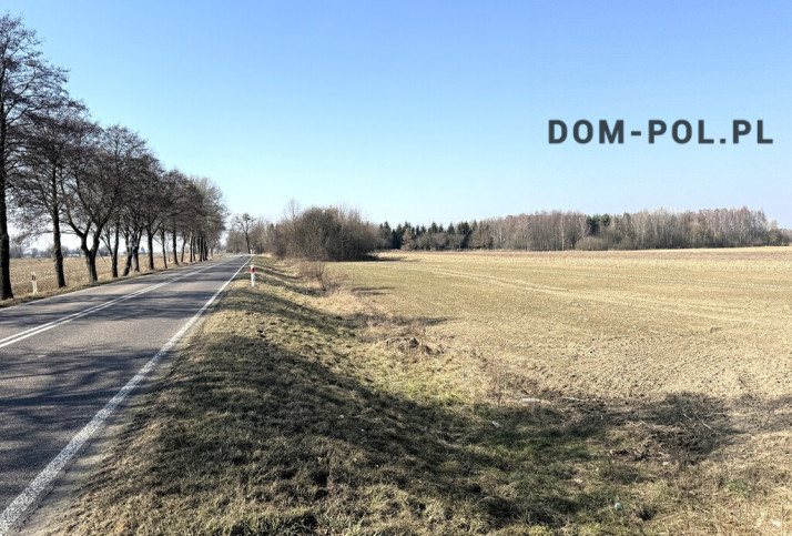 Działka Sprzedaż Dębowa Kłoda 9