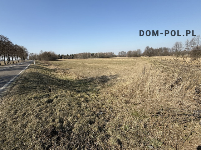 Działka Sprzedaż Dębowa Kłoda 10
