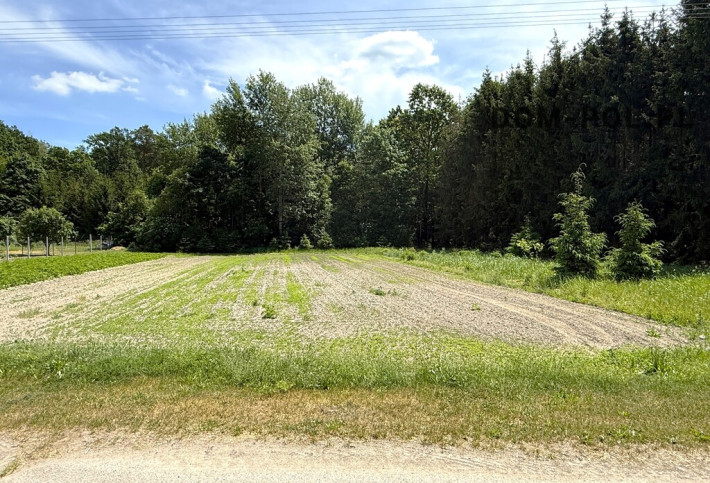 Działka Sprzedaż Holendernia 5