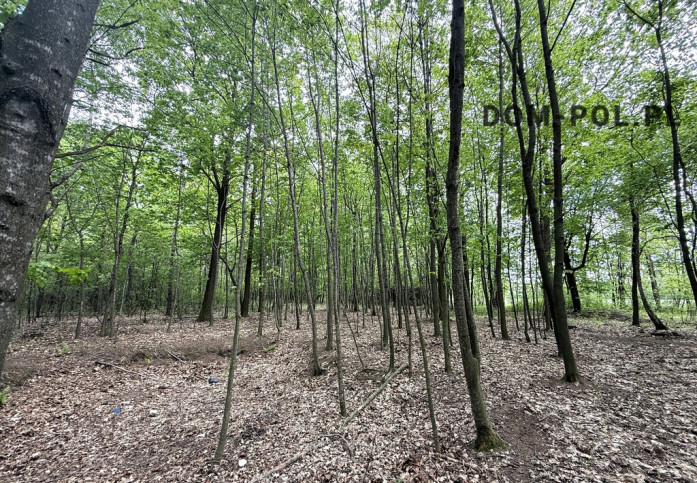 Działka Sprzedaż Holendernia 9