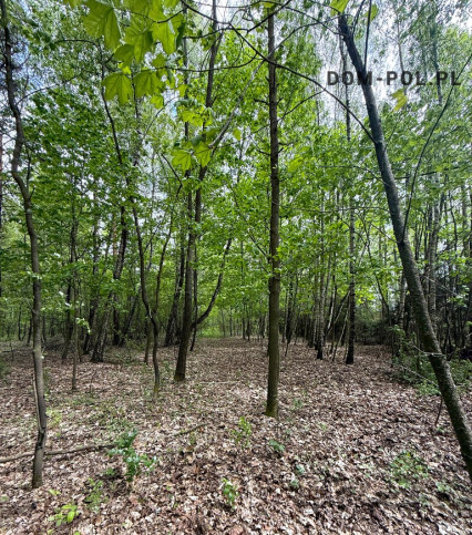 Działka Sprzedaż Holendernia 10