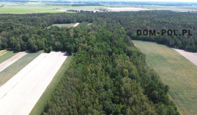 Działka Sprzedaż Holendernia