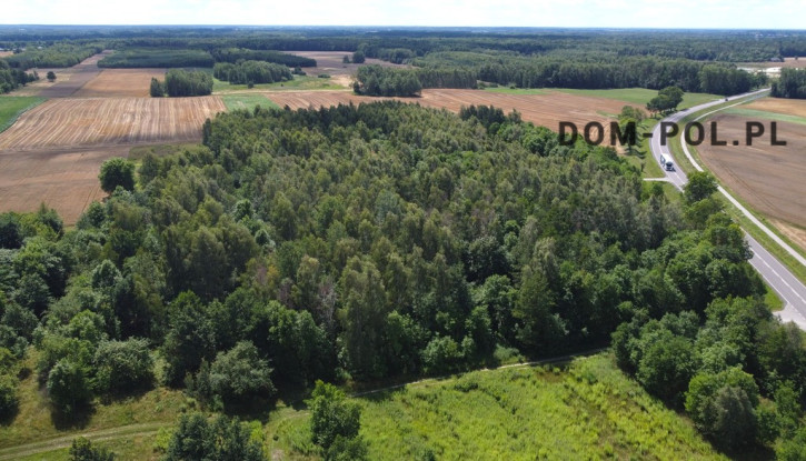 Działka Sprzedaż Siemień-Kolonia 18