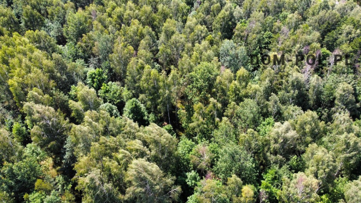 Działka Sprzedaż Siemień-Kolonia 7