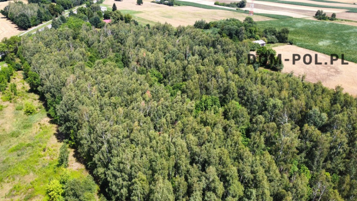 Działka Sprzedaż Siemień-Kolonia 8