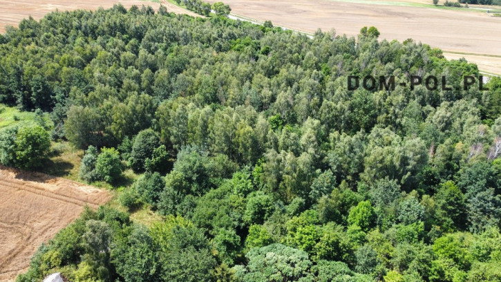 Działka Sprzedaż Siemień-Kolonia 9