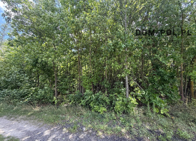Działka Sprzedaż Siemień-Kolonia 12