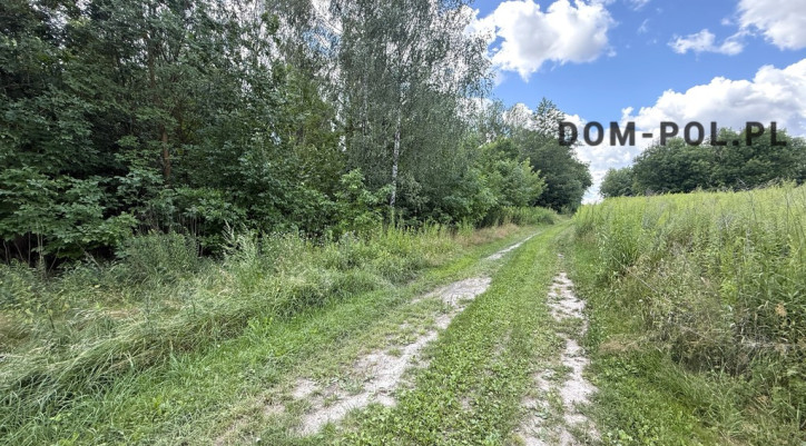 Działka Sprzedaż Siemień-Kolonia 13