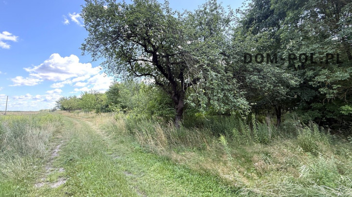 Działka Sprzedaż Siemień-Kolonia 15