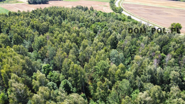 Działka Sprzedaż Siemień-Kolonia 16