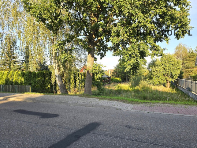 Działka Sprzedaż Białka 3