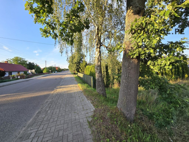 Działka Sprzedaż Białka 4