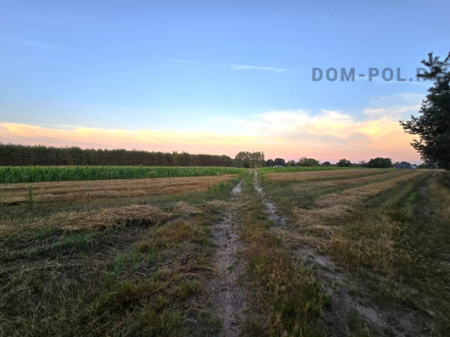 Dom Sprzedaż Stanisławów Duży 11