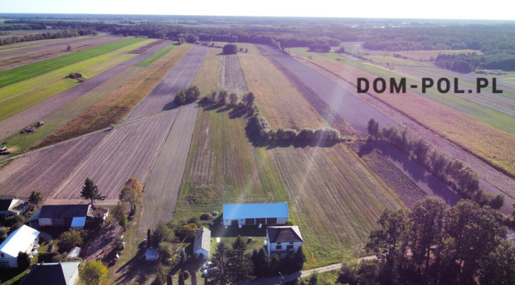 Działka Sprzedaż Korona 1