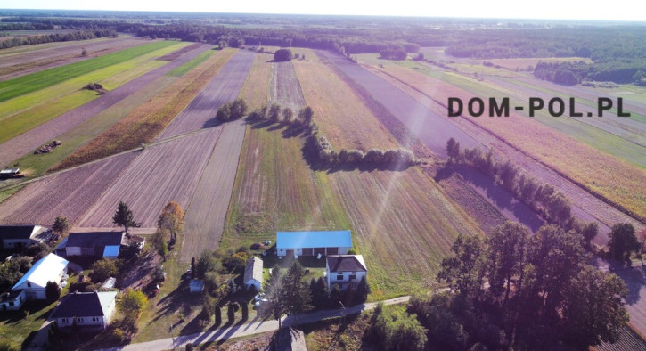 Działka Sprzedaż Korona 9