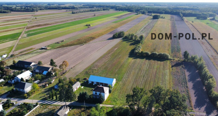 Działka Sprzedaż Korona 10