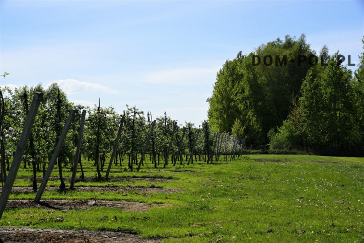 Dom Sprzedaż Wincentów 14