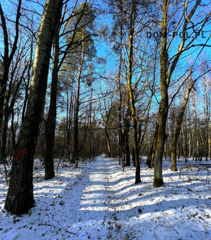 Działka Sprzedaż Babianka 5