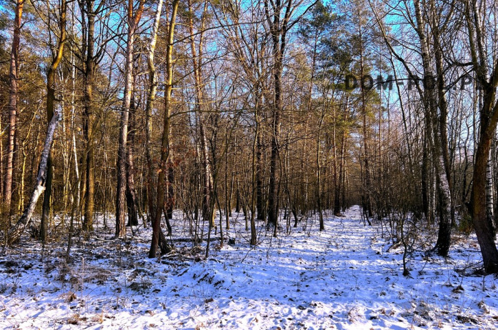 Działka Sprzedaż Babianka 6