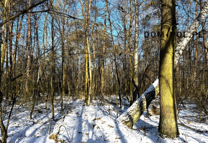 Działka Sprzedaż Babianka 7