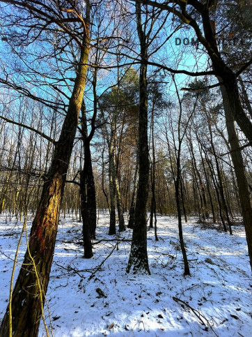 Działka Sprzedaż Babianka 14